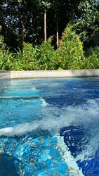 Gold Coast Condo (D5), Condominium #572698121